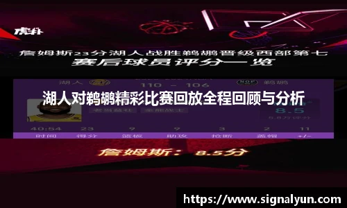 湖人对鹈鹕精彩比赛回放全程回顾与分析