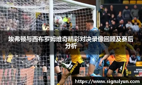 埃弗顿与西布罗姆维奇精彩对决录像回顾及赛后分析