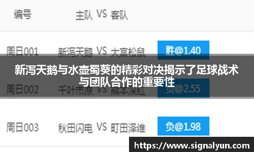 韦德体育官网